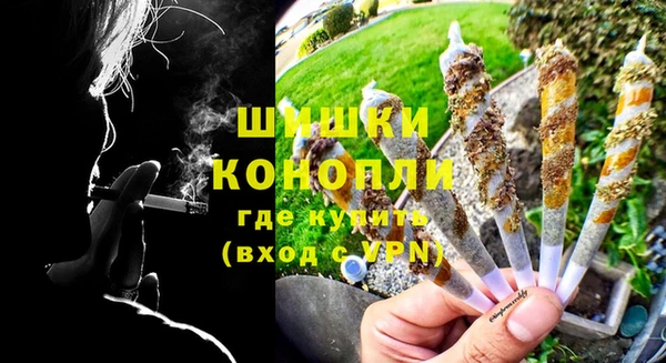 хмурый Нея