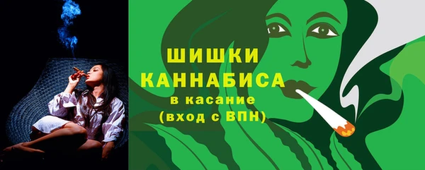 хмурый Нея