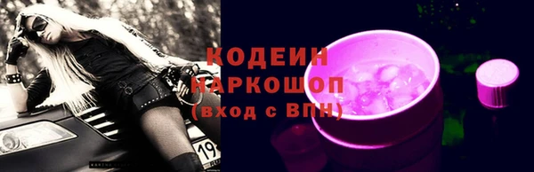 хмурый Нея