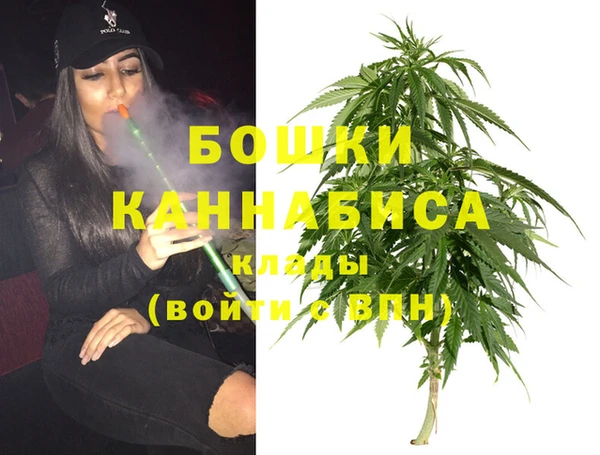 хмурый Нея