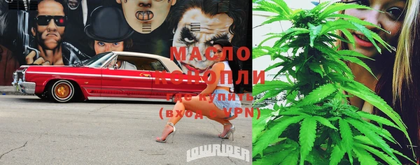 хмурый Нея
