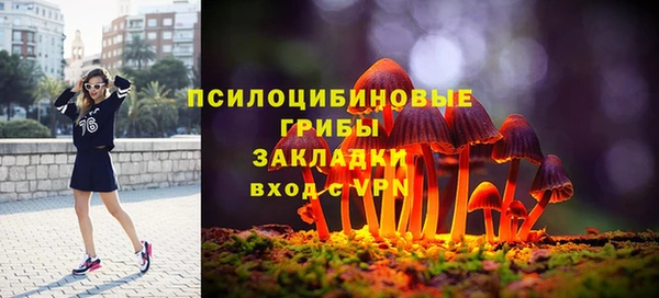 хмурый Нея