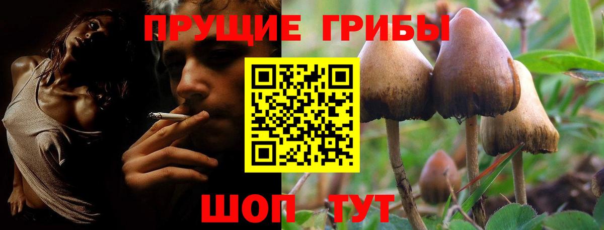 Галлюциногенные грибы Cubensis  Псилоцибиновые грибы Psilocybine cubensis  Вход с VPN  Новоуральск 